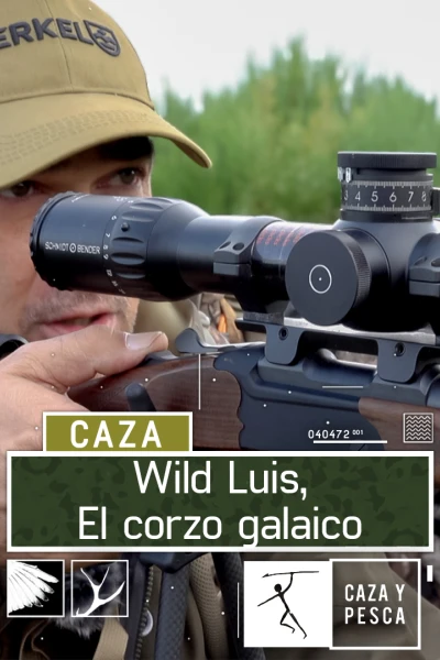 Wild Luis:  El Corzo Galaico