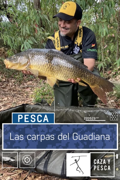 Las carpas del Guadiana