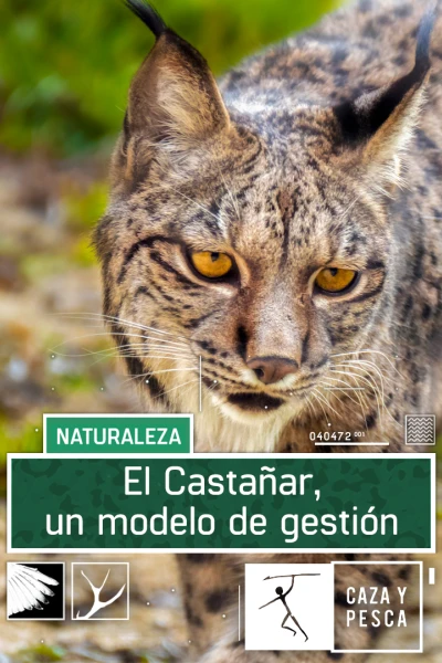 El Castañar. Un modelo de gestión