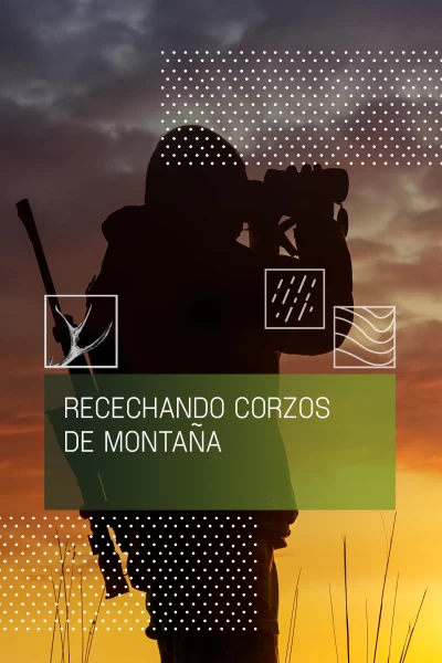 Recechando corzos de montaña