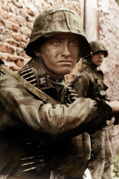 La II Guerra Mundial en color
